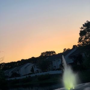 Meet your Posher, Rhiannon